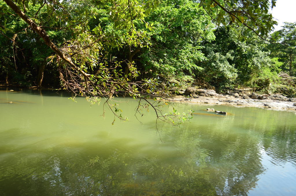 Wild Trails Udawalawe Hotel Bagian luar foto